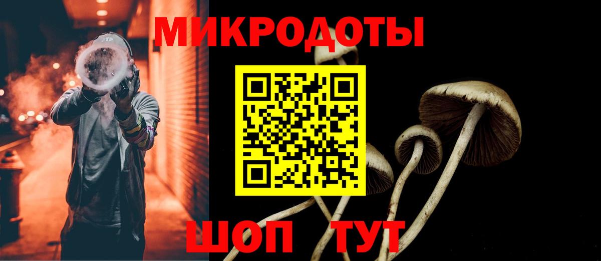 Галлюциногенные грибы прущие грибы  Вход с VPN  Курчалой  Галлюциногенные грибы Cubensis 